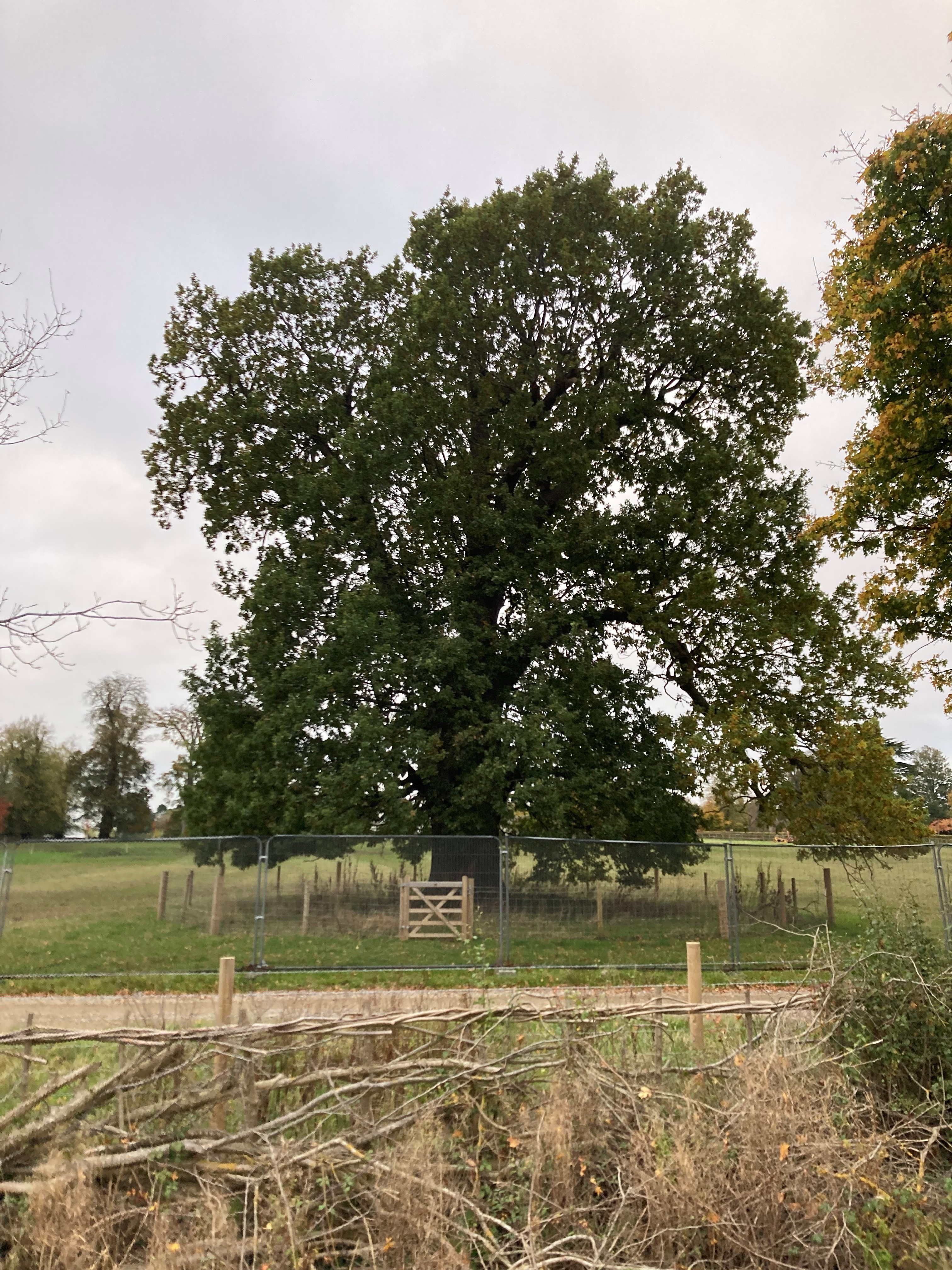 Landscape near Evenlode